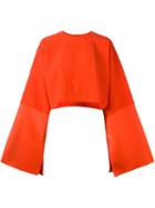 Solace 'iskra' Blouse