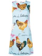 Dolce & Gabbana Chicken Print Dress - Blue
