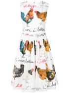 Dolce & Gabbana Rooster Print Flared Dress - White