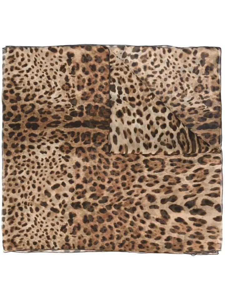 Dolce & Gabbana Leopard Print Scarf - Brown