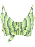 Amir Slama Striped Cropped Top - Green
