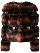 Elisabetta Franchi Short Fur Jacket - Black