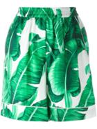Dolce & Gabbana Banana Leaf Print Shorts, Women's, Size: 42, White, Silk