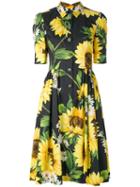 Dolce & Gabbana - Sunflower Shirt Dress - Women - Cotton - 44, Black, Cotton