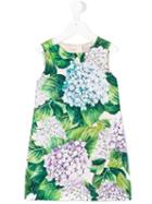 Dolce & Gabbana Kids - Hydrangea Print Shift Dress - Kids - Silk/cotton/viscose - 3 Yrs, Green