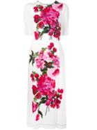 Dolce & Gabbana Floral Print Dress, Women's, Size: 40, White, Viscose/silk/spandex/elastane