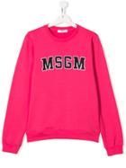 Msgm Kids Teen Logo Print Sweatshirt - Pink