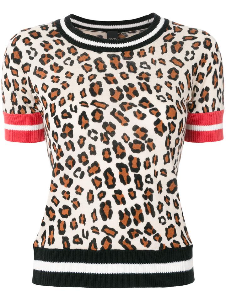 Pinko Short Sleeve Leopard Print Sweater - Nude & Neutrals