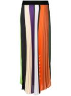 Ssheena Pleated Rainbow Skirt - Multicolour