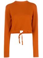 Chloé Long Sleeve Cropped Sweater - Brown