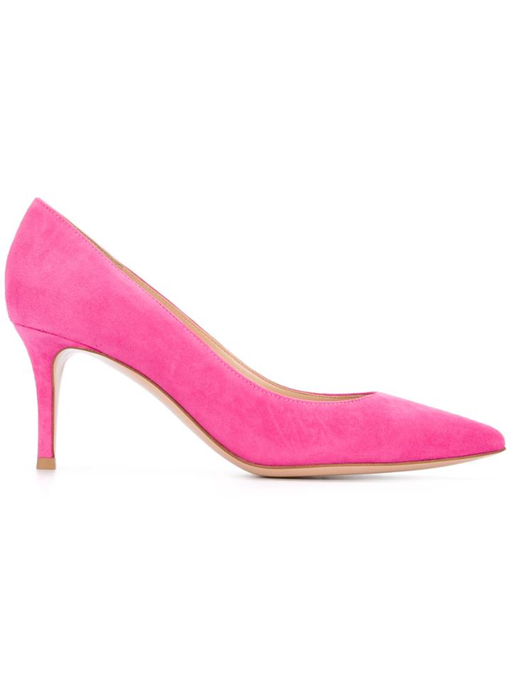 Gianvito Rossi Classic Pumps - Pink & Purple
