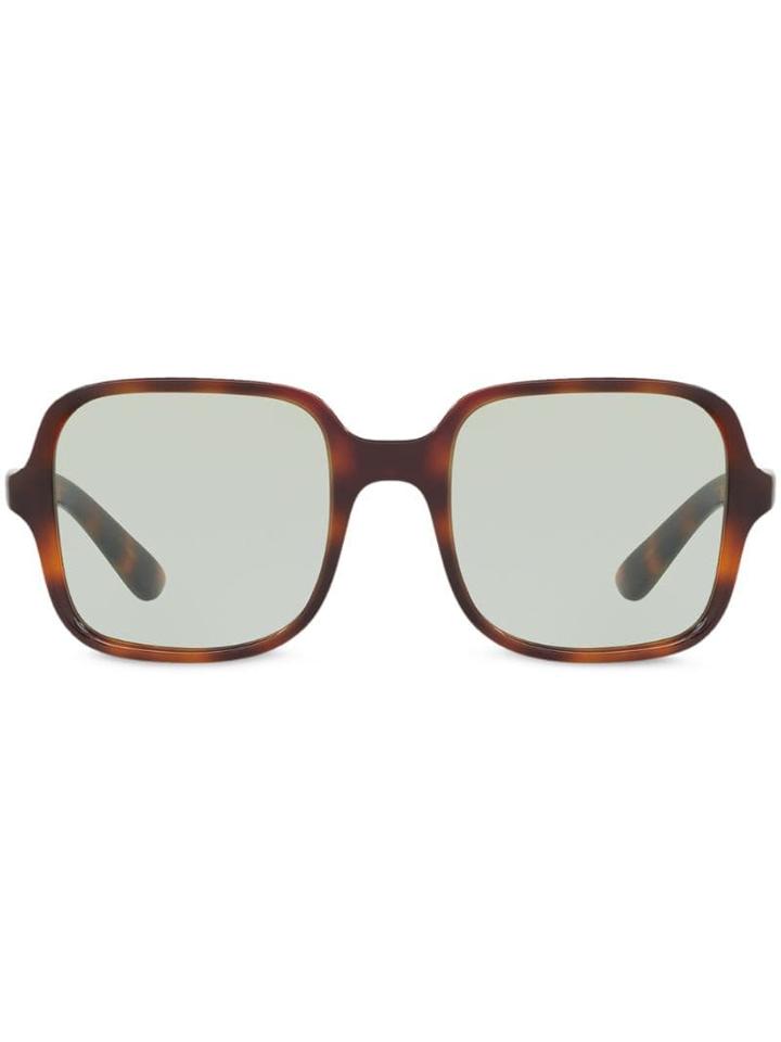 Alexa Chung Sunglasses Hut X Alexa Chung Oversized Sunglasses - Brown