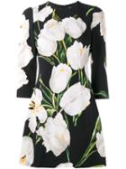 Dolce & Gabbana Floral Print Dress, Women's, Size: 46, Black, Silk/spandex/elastane/viscose