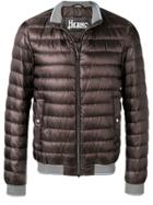 Herno Fitted Style Padded Jacket - Brown