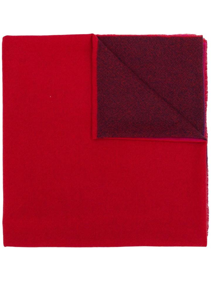 Daniela Gregis Cashmere Scarf - Red