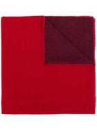 Daniela Gregis Cashmere Scarf - Red
