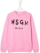Msgm Kids Teen Freehand Branded Sweatshirt - Pink