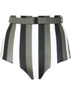 Fella Striped Belt Bikini Bottom - Unavailable