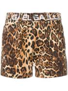 Gaelle Bonheur Leopard Print Shorts - Brown