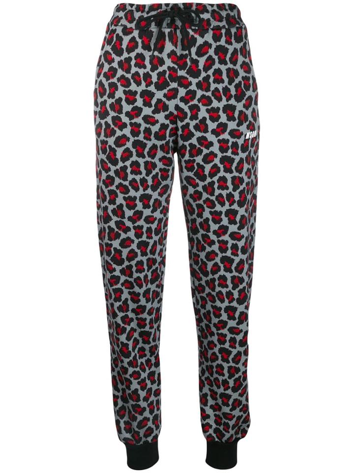 Msgm Leopard Print Track Pants - Grey