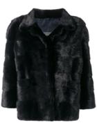 Simonetta Ravizza Ceci Jacket - Blue
