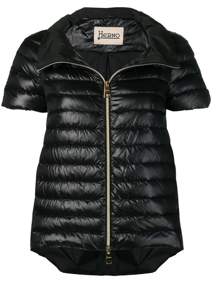 Herno Shortsleeved Padded Jacket - Black