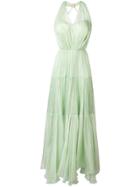 Maria Lucia Hohan Poppy Pleated Maxi Dress - Green