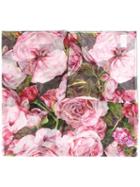 Dolce & Gabbana Rose (pink) Print Scarf, Women's, Silk