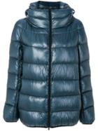 Herno - Padded Hooded Jacket - Women - Feather Down/polyamide/polyester - 40, Blue, Feather Down/polyamide/polyester