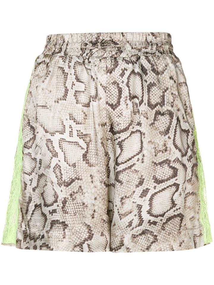 Pinko Snake Print Shorts - Brown