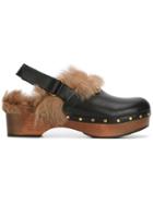 Gucci Black Fur Lined Amstel Clogs