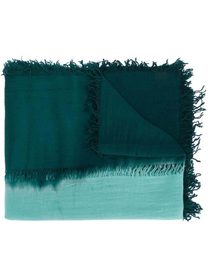 Antonelli Fernanda Two-tone Scarf - Green