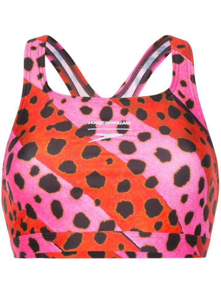 House Of Holland Cheetah Stripe Bralet Bikini Top - Pink