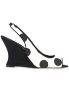 Manolo Blahnik Phylosus Sandals - Black