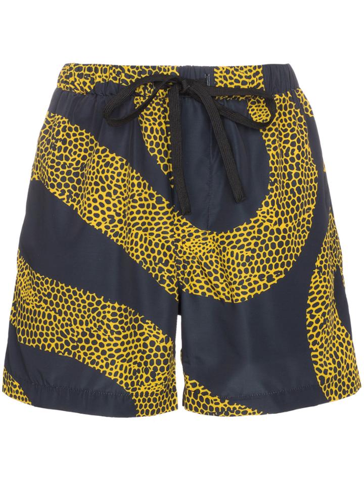 Double Rainbouu Animal Print Shorts - Black