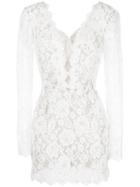 Tadashi Shoji Lace-embroidered Dress - White