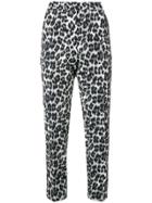 Pinko Leopard Print Tailored Trousers - Black