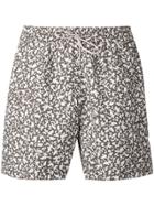 Loro Piana Printed Swimming Shorts - Brown