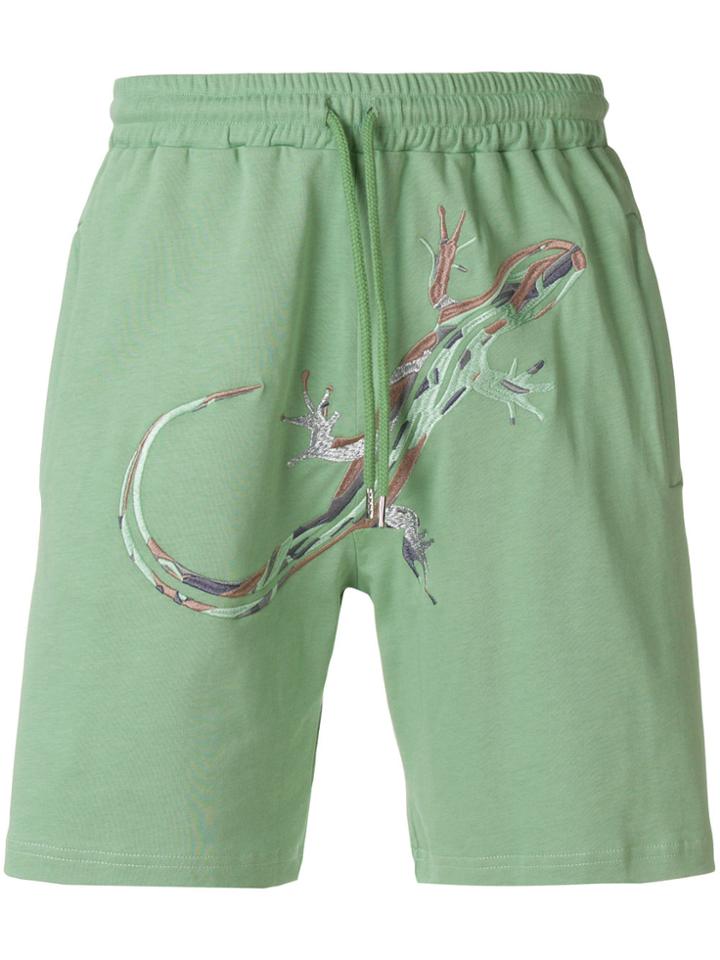 Cottweiler Dryland Shorts - Green
