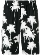 Msgm Palm Tree-print Shorts - Black