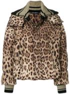 Dolce & Gabbana Leopard Print Padded Jacket - Brown