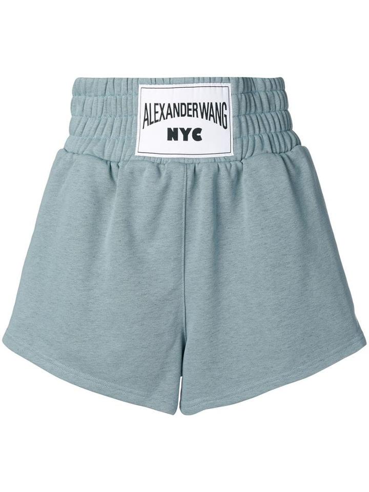 T By Alexander Wang Loose-fit Shorts - Blue