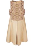 Alberta Ferretti Lace Embellished Dress, Women's, Size: 40, Nude/neutrals, Acetate/rayon/silk/cotton
