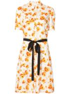 Carolina Herrera - Butterfly Print Dress - Women - Cotton - 8, White, Cotton