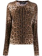 Dolce & Gabbana Leopard Knitted Jumper - Brown