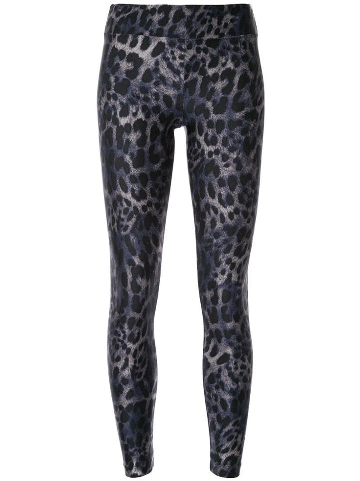 Koral Cheetara Leggings - Blue
