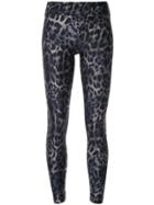Koral Cheetara Leggings - Blue