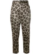 Haider Ackermann - Leopard Print Tapered Trousers - Women - Silk/polyester/spandex/elastane - 36, Nude/neutrals, Silk/polyester/spandex/elastane