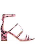 Casadei Block Heel Sandals - Pink