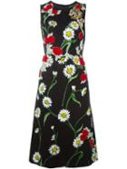 Dolce & Gabbana Floral Print Embellished Dress